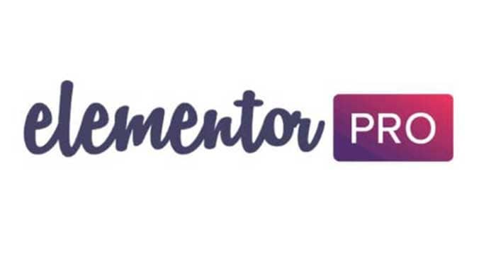 Elementor Pro